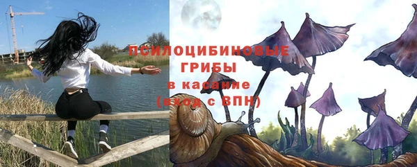 spice Алексеевка