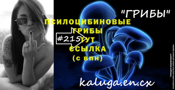 spice Алексеевка
