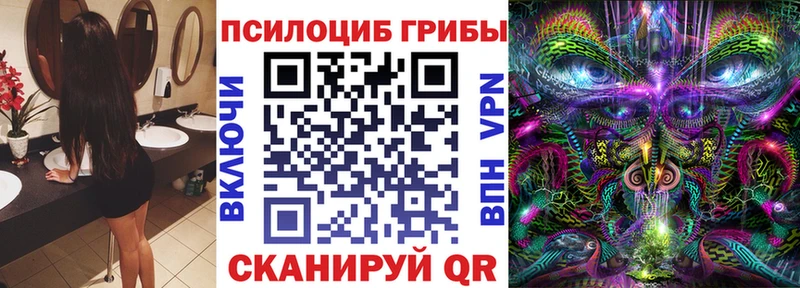 Галлюциногенные грибы Psilocybine cubensis  Пугачёв 